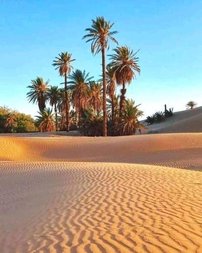 chez zakaria luxury tent camp merzouga in Merzouga