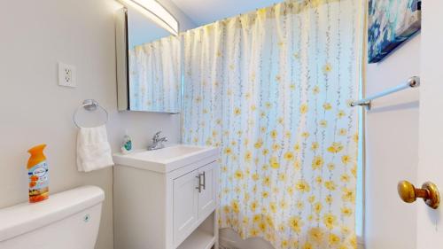 Spacious 1Bed close to Longwood Medical Boston - main image