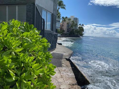 Marbella Lane -Coastal retreat near Diamond Head in Diamond Head