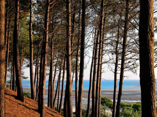 Appartement Arcachon 2 pièces 3 personnes - FR-1-420-28 - image 9