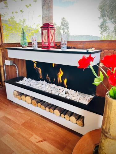 Restaurante, Nuevo amanecer in Canocas