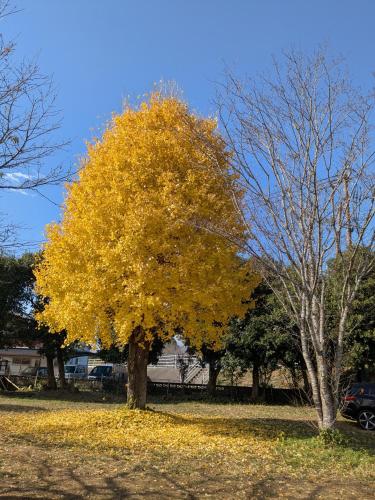 民泊サライ七城