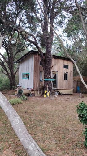 Mi pequeño Santuario