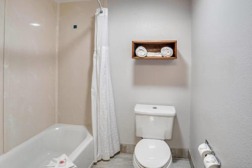 Comfort Inn & Suites - image 32