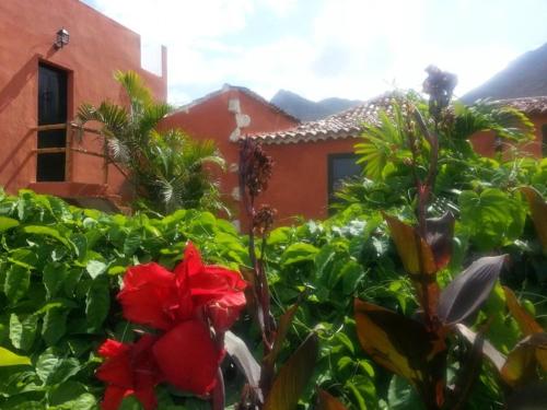  Apartmento Tabares, Pension in Tejina