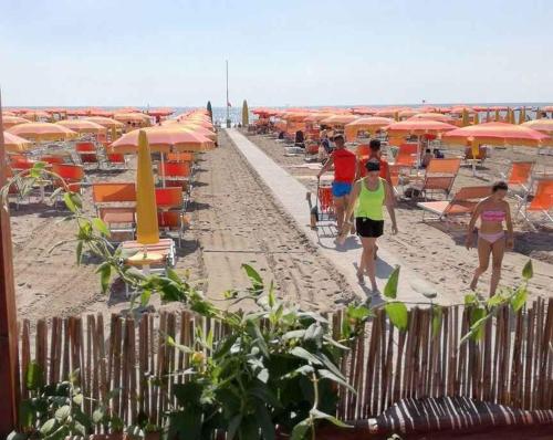 Apartments Beachfront in Rosolina Mare 33984 - image 5