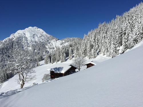  Das Alpbach Juwel, Pension in Alpbach