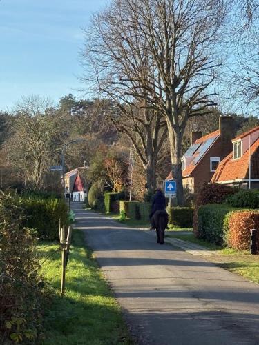 Facilities, The Ville in Groet met Hargen