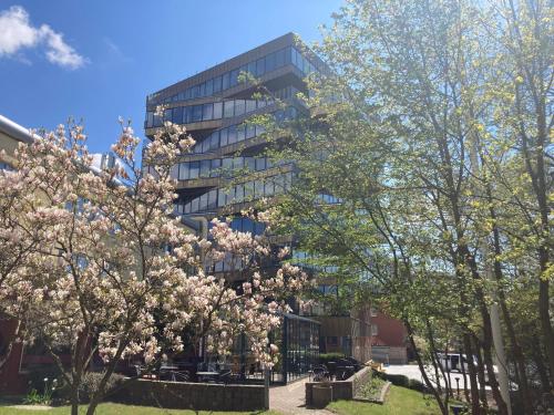 Utvendig, Place Lund in Lund