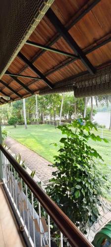 Apkārtne, BharathaPuzha Resort in Pattambi