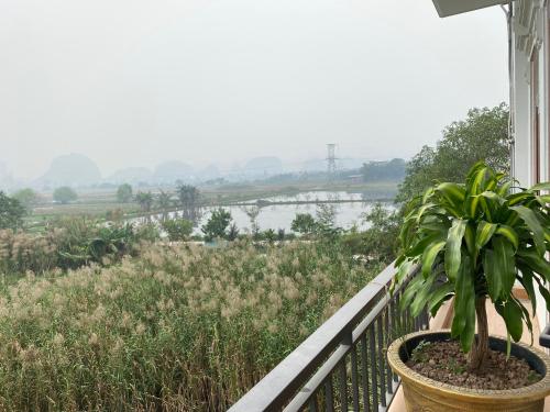 Tam Coc Vivana Hotel - image 2
