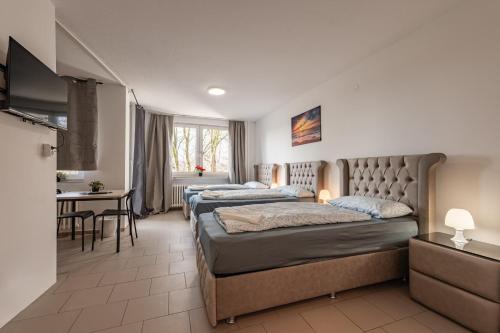 MK Apartments Delmenhorst nähe Bremen 8 (MK Apartments Delmenhorst nahe Bremen 8) in 代爾門霍斯特