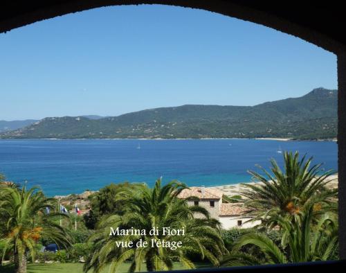 Marina di fiori - image 14