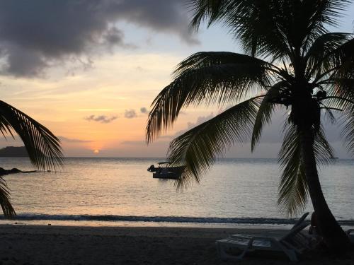 Strand, Imperatrice Village - Residence sur la plage in Les Trois Ilets