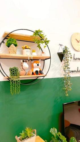 Grand Green Homestay - image 8
