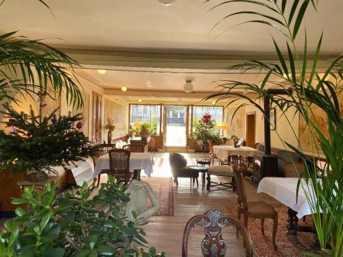 Domaine hotel de France in Lanty-Sur-Aube