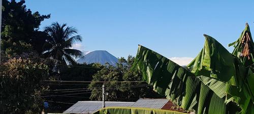 Hospedaje Mi Casita in Los Naranjos