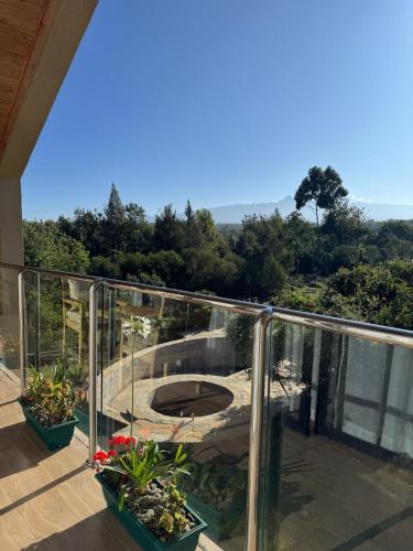 Skats, Idan Barn Suites & Café (Idan Barn Suites & Cafe) in Naro Moru