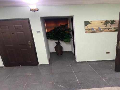 Orange Bricks House - image 3