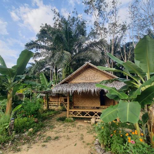 Khaosok Eco House in Phanom