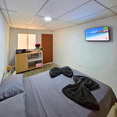 Bed, Tucacas, Suite Matrimonial, Piscina y Playa Privada in Boca de Aroa