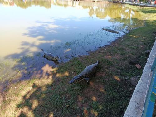 Che Jazmin, your haven of peace and harmony in Itauguá