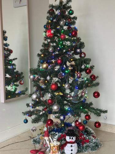 Pilaites svetingi namai in Vilnius