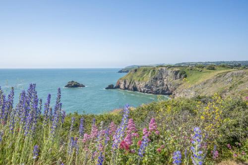 Lodge 62 at Riviera Bay Coastal Retreat, Brixham (foto 5)