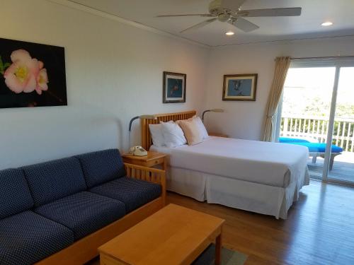 White Sands Motel - image 4