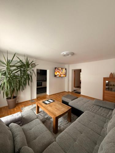 Wohnung in Hüttau (Wohnung in Huttau) in 许陶