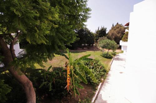 Ampavris Family Apartments - image 4