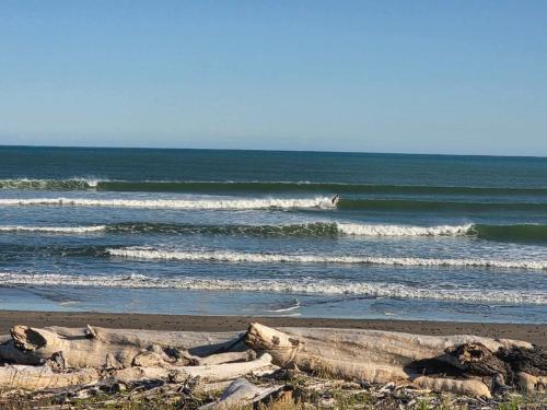 Surf Shack on Broadway in Waitara