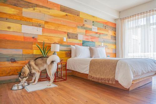 Mayan Monkey Cancun - Social Hostel, Cancún (zdjęcie 11)