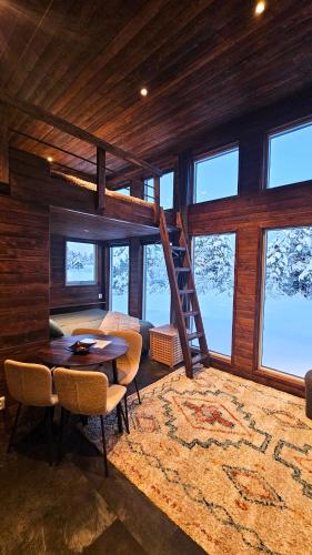 Reindeer Riverfront Aurora lodge in 基律納市中心