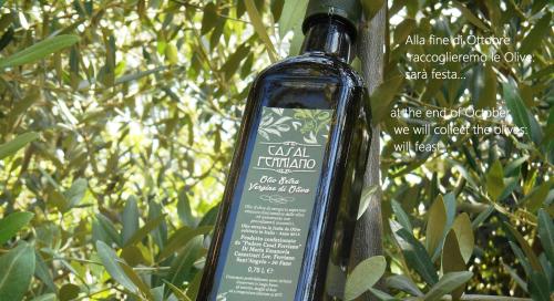 Casal Ferriano gîte à louer La Figurina