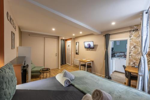 LE CATELE - Studio RIOM - 3 pers - Vulcania - Puy de Dôme - Proche Clermont Ferrand - Location saisonnière - Riom