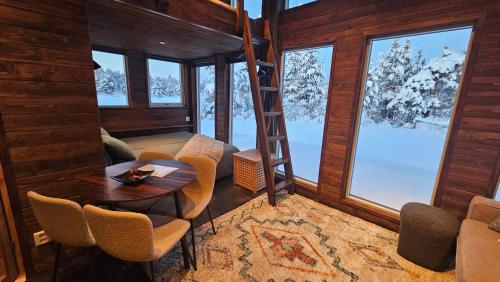 Reindeer Riverfront Aurora lodge in 基律納市中心