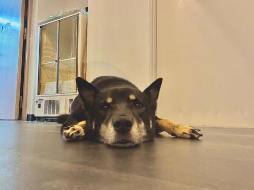 J-Hoppers Beppu Guesthouse ジェイホッパーズ別府ゲストハウス