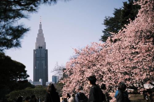 6 minutes walk from Yoyogi Station Close to Shinjuku 4-story detached house 110 square meters 3 bedrooms can accommodate up to 8 people Close to Shinjuku Takashimaya and Isetan