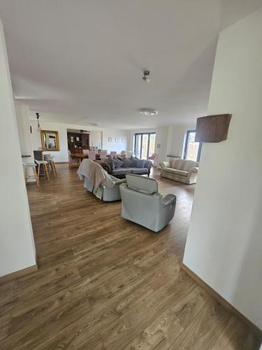 Willowtreegites in Ducey