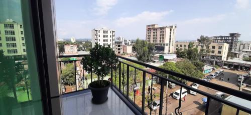 Abay international Hotel in Bahir Dar