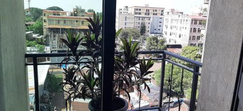 Abay international Hotel in Bahir Dar