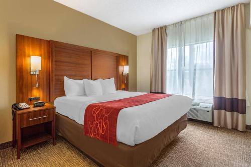 Suite, superior