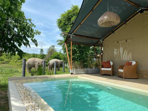 View, Elephant View Camp in Khao Yai (Cha-am)
