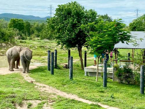 Surrounding environment, Elephant View Camp in Khao Yai (Cha-am)