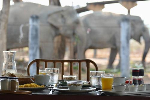 Food and beverages, Elephant View Camp in Khao Yai (Cha-am)