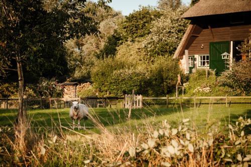 Natuurhuisje Heeren van Acquoy in Rhenoy