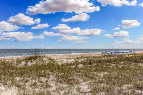 Vintage Ocean View Paradise - 1BR - Beachfront - image 3