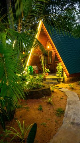 Woodland Cabana - image 4