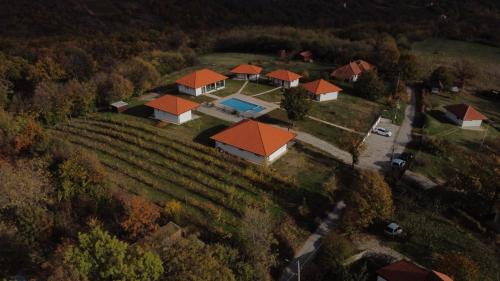 Vinogradi Zmajevački (Vinogradi Zmajevacki) in Koracica